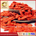 High Quality Dried Goji Berry From China